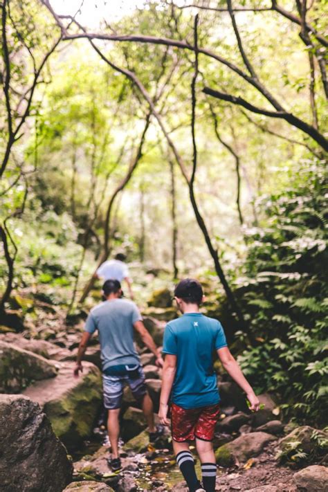 Makamakaole Falls: A Maui Hawaii Hidden Gem - Simply Wander