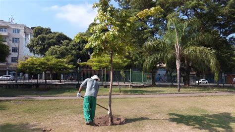 Fundação Parques e Jardins realiza plantios distribuição de mudas e