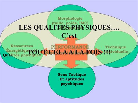 PPT LES FACTEURS DE LA PERFORMANCE SPORTIVE ET LES MODELES DETUDE DE