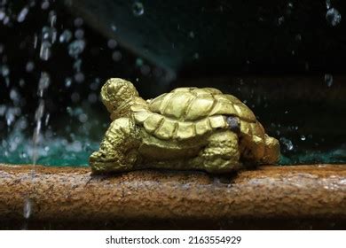 552 Golden Turtle Statue Images, Stock Photos & Vectors | Shutterstock