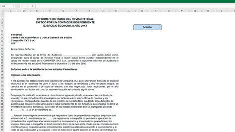 Herramienta Integral Para El Ejercicio De La Revisoría Fiscal Versión 6