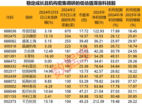 沪指迈入技术性牛市！科技公司获看好 机构密集调研的低估值滞涨股仅15只 东方财富网