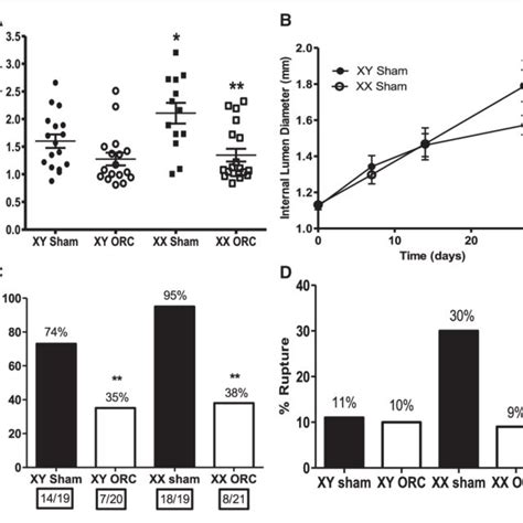 Sex Chromosome Complement Sex Hormones And An Interaction Between