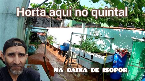 Horta No Quintal Minha Compostagem O P De Uva T Lindo Youtube