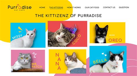 Purradise Cat Cafe - Rebranding :: Behance