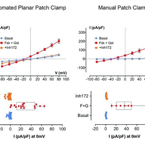 Cystic Fibrosis Transmembrane Conductance Regulator Whole Cell