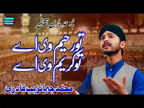 Muhammad Jahanzaib Qadri New Naat Tu Raheem Vi Ay Tu Kareem Vi Ay MJ