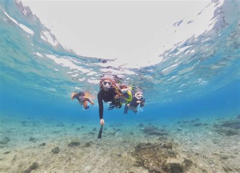 tonton dive eztravel