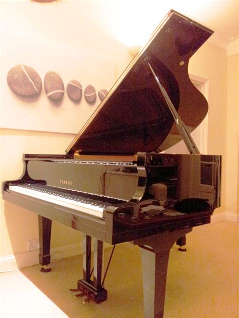 Piano tuner