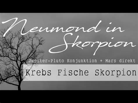 Krebs Fische Skorpion Individuelles Orakel Zum Neumond In Skorpion