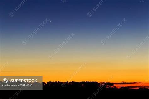 Comet Panstarrs At Twilight Visible With The Naked Eye Buenos Aires