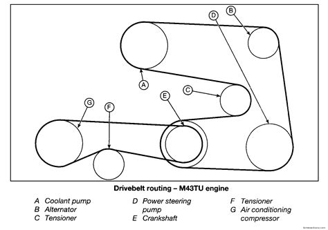 Bmw Auxiliary Drive Belt Positioning M43tu M43b19 Bmw Sections