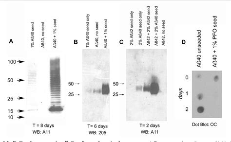 Figure 5 From Sanders Brown Center On Aging Faculty Publications Aging Conformation Dependent