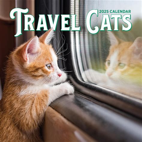 Personalised Slim Calendar 2024 Printable Tina Adeline/workman Cat