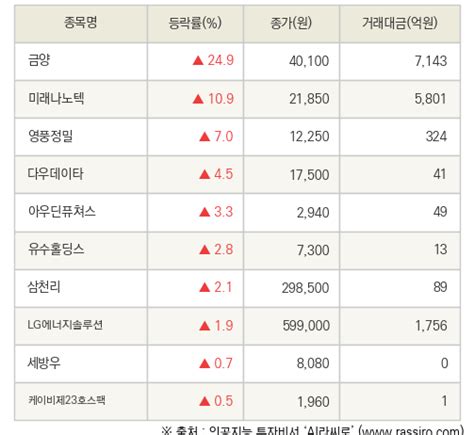 Fnrassi 금양 미래나노텍 등 10종목 52주 신고가 경신 네이트 뉴스