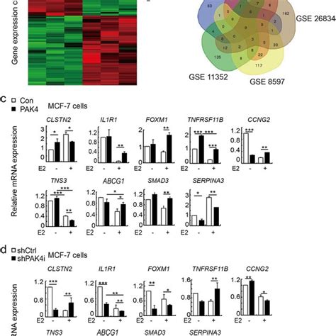 Nuclear Pak Promotes Breast Cancer Cell Invasion Via Downregulation Of