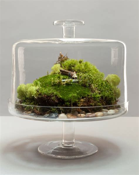 How To Make A Terrarium Take A Look At These 7 Adorable Ideas