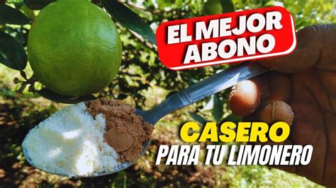 ABONO CASERO MÁGICO Con SOLO 2 INGREDIENTES TUS CÍTRICOS tendrán