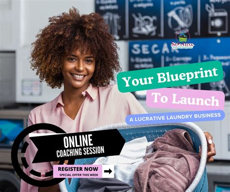 Buy Laundrypreneur Mastery Program Your Blueprint To Launching A