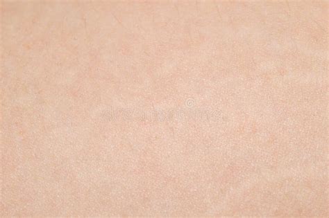 Human Skin Texture Map