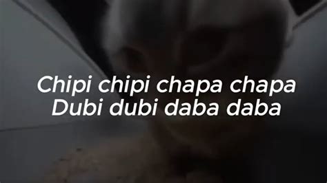 Chipi Chipi Chapa Chapa Dubi Dubi Daba Daba Letralyrics Youtube