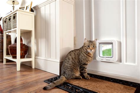 Check out this smart pet door that you control via your smartphone