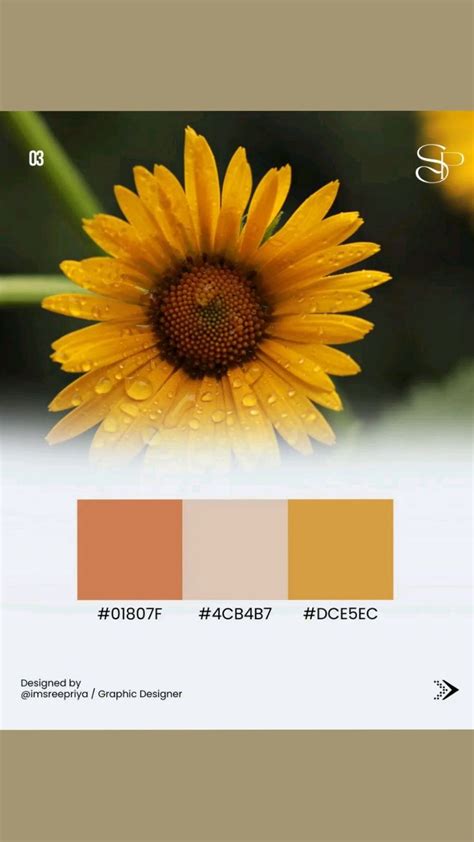 Color palette inspiration | Graphic design lessons, Photoshop design ...