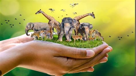 importance  biodiversity  ecosystems