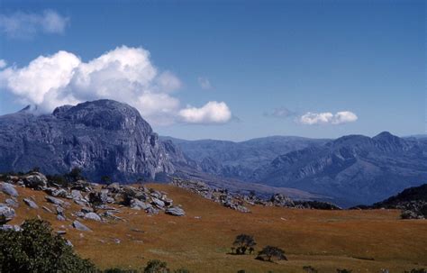 Flora of Zimbabwe: Location details: individual images: Chimanimani ...