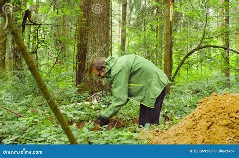 Scientist Ecologist In A Forest Digging Soil Slit Stock Photo Image