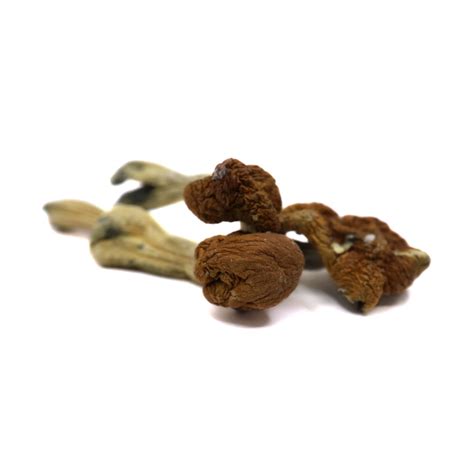 Shop Shop Naked Cannabis