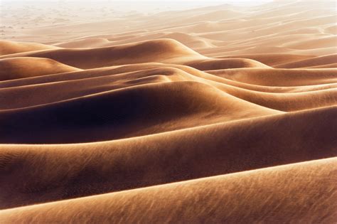 SAP Young Professionals Program Tunisia - SAP Africa News Center