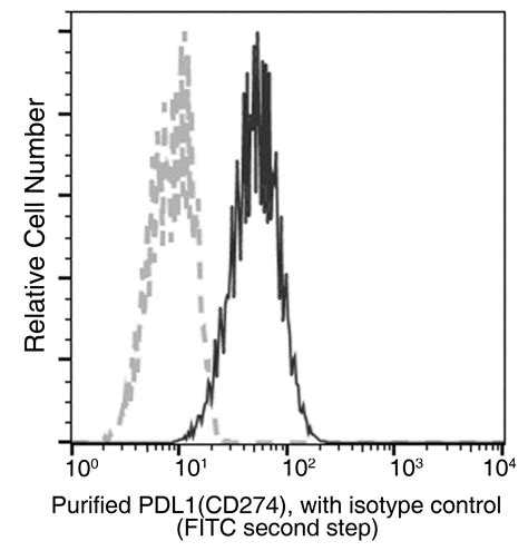 Recombinant Anti Pd L B H Antibody Rabbit Mab R Sino