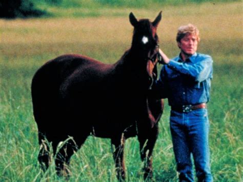 The Horse Whisperer (1998) - Robert Redford | Synopsis, Characteristics ...