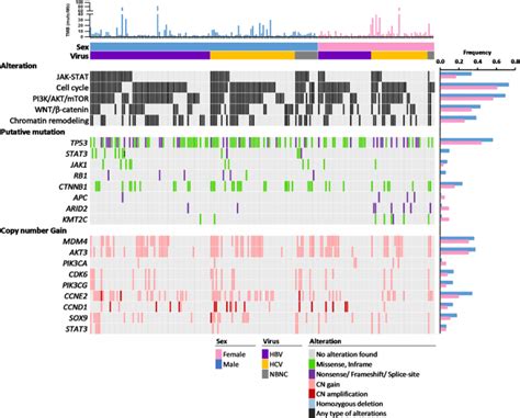 Study Of Sex Biased Differences In Genomic Profiles In East Asian