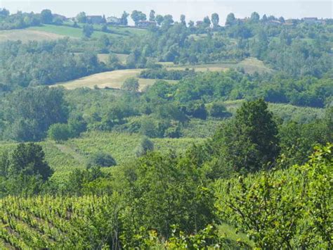 Weekend Nell Oltrep Pavese Tra Borghi Lavanda E Natura