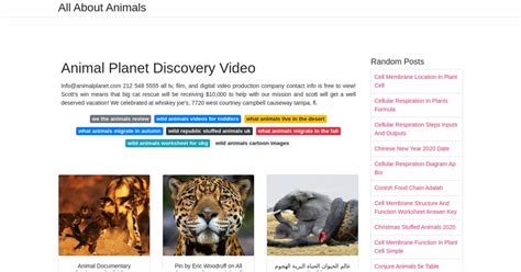 Animal Planet Discovery Video