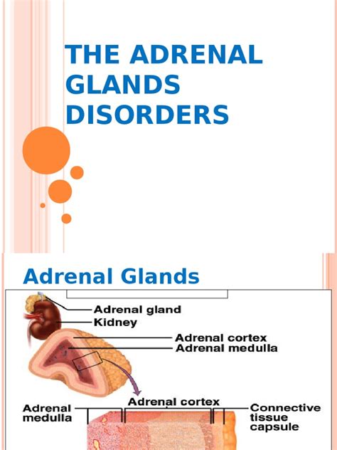 Adrenal Gland Disorders | PDF