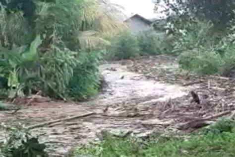 Siklus Lima Tahunan Banjir Bandang Terjang Banyupoh Bali Express