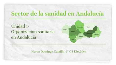 Sector De La Sanidad En Andalucía