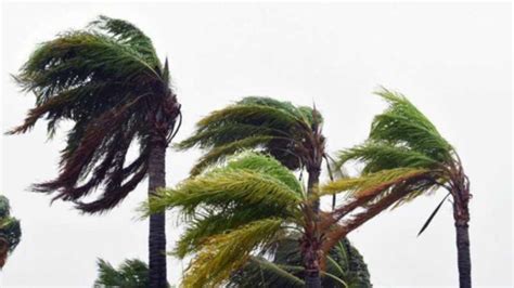 Possible cyclone ‘most likely’ to turn towards Queensland | 7NEWS