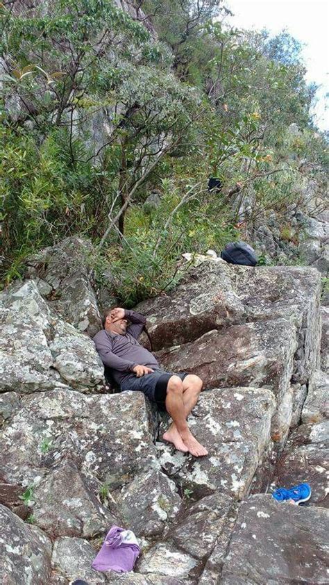 Em C Nion Das Bandeirinhas Ningu M De Ferro Trekking Lobo Do Mato