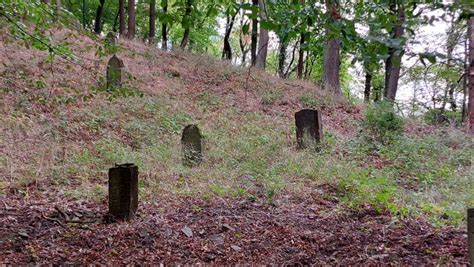 Der J Dische Friedhof In Bad Breisig J Dische Friedh Fe In