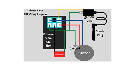 Chinese Pin Cdi Wiring Diagram Complete Guide