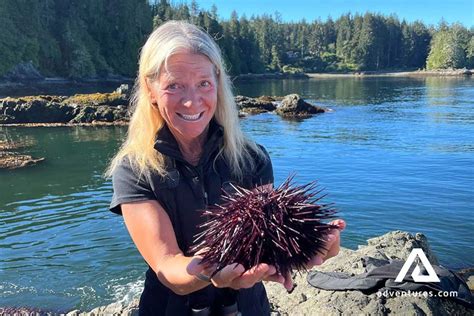 Explore Outer Shores Of Vancouver Island