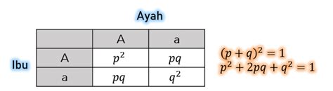 Soal Dan Pembahasan Peluang Dan Kombinatorika Tingkat Sma — Mathcyber1997