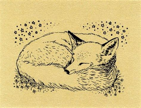 Sleeping Fox Drawing Fox Illustration