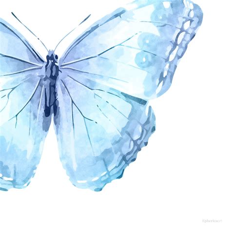 Light Blue Butterfly Aesthetic