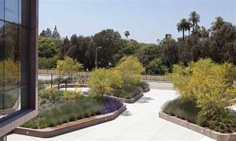 civic-center-drive-landscape-architecture-sblastudio-4 | Stephen Billings Landscape Architecture