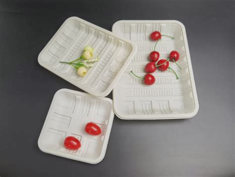 Food Grade Stackable Plastic Drying Trays For Fruits Vegetables Meat ...